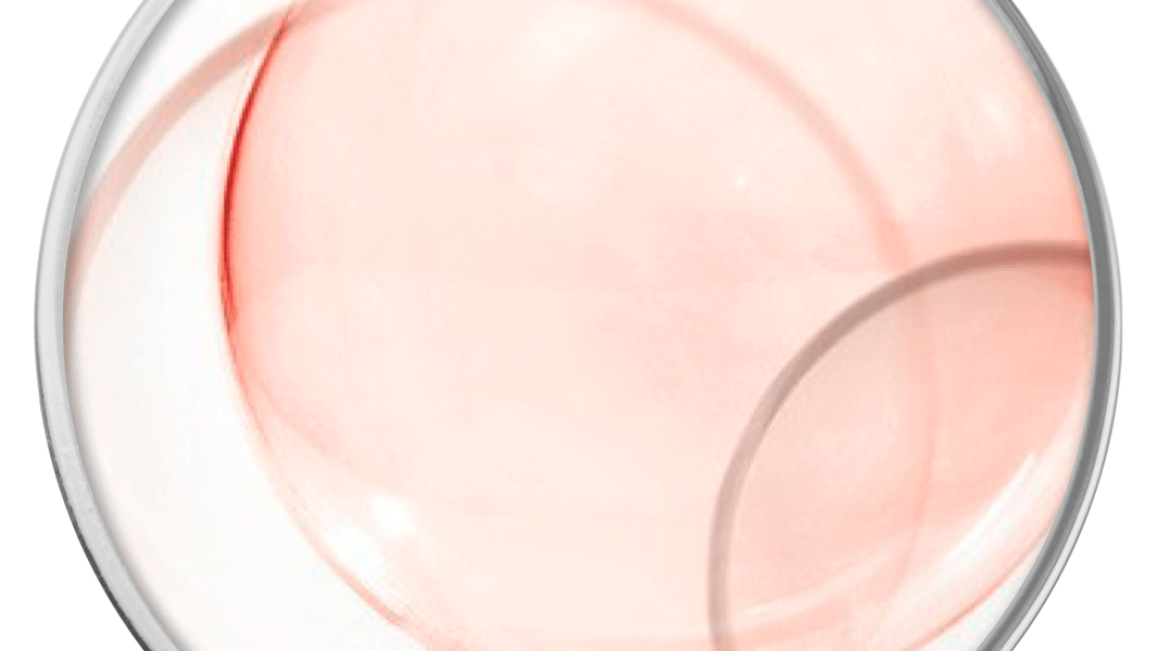 IA Control : Un complexe d'actifs végétaux antioxydant et anti-inflammatoire Laboratoire Eneomey